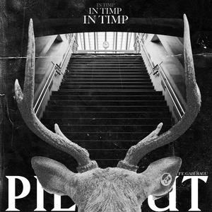 Pierdut in timp (feat. Gabi Bagu)