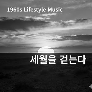 세월을 걷는다