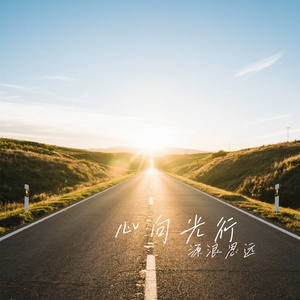 心向光行