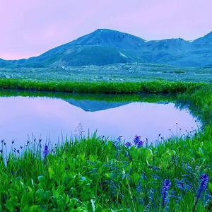 轻音乐舒缓放松纯音乐（脑波催眠版）