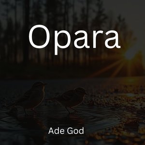 Opara