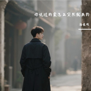 你说过的爱怎么突然就失约