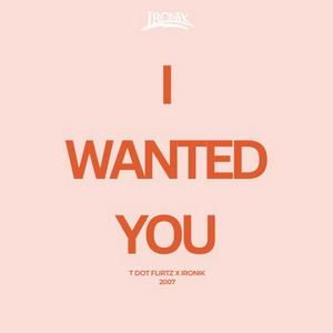 I Wanted You (Remix)