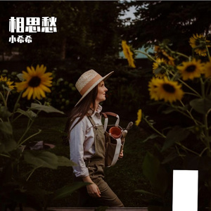 迷宫 伴奏