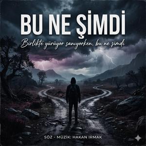 Bu Ne Şimdi