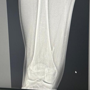 Full-Day Stream (Deep Flangus)