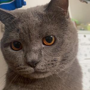 这样爱了（cover：张婧）