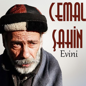 Evini