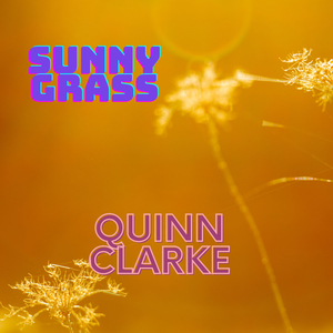 Sunny Grass