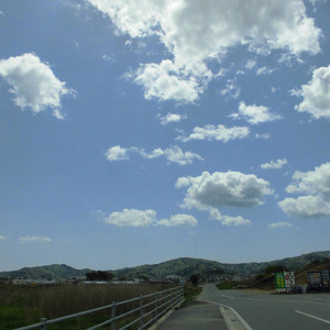 はりまや橋メモリー