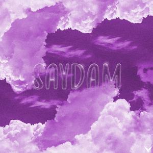 SAYDAM