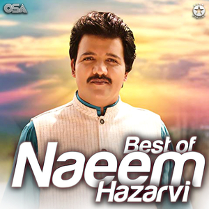 Pardesi Yaad Aana Ain