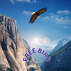 Free Bird(Sped up)