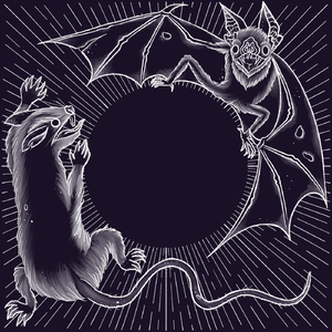 Não Percebi Anoitecer