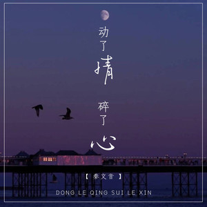 动了情碎了心 (DJR7版)