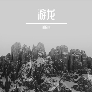 游龙
