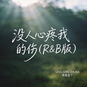 没人心疼我的伤（R&B版）