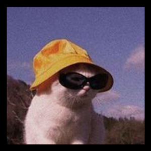 DJ Walk Thru Fire - TIKTOK