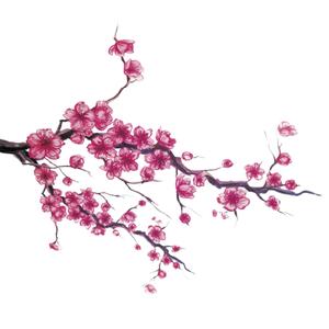 Geisha (feat. Txny & Flyzoto)