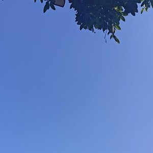 等你回头