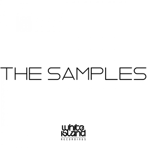 Disco Fluxs (Original Mix)