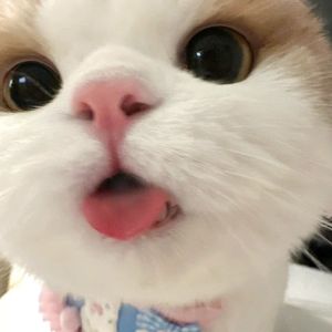 暮云合