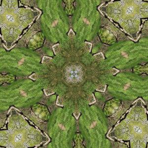 Allowing us to see with clarity