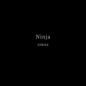 Ninja