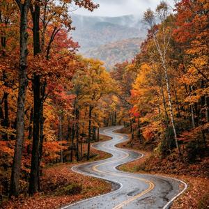 Crossed Paths