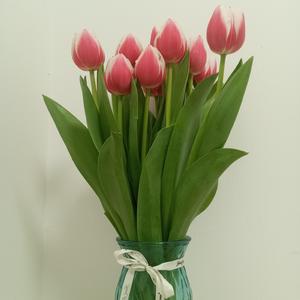 The flowers of the sky