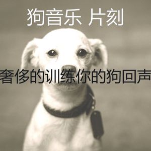 安静的训练你的狗声音