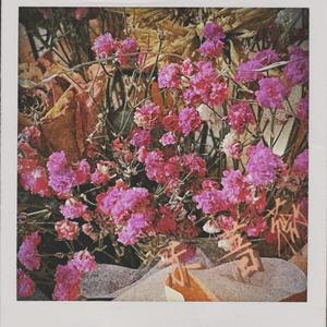 赤蔷薇（Prod.Gr33nart Beats)