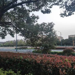 青春不散场 伴奏