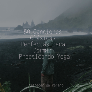 Vuelo de Sueños Olvidados