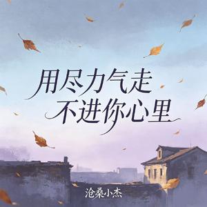 用尽力气走不进你心里(DJ慢嗨版)