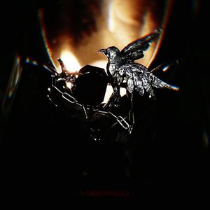 窒息Étouffer III Pord by：jonas