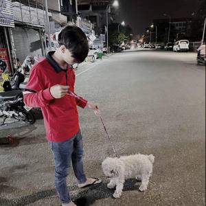 ឆ្អែតចិត្ត song sad