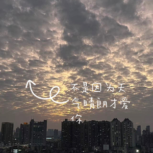 不是因为天气晴朗才爱你