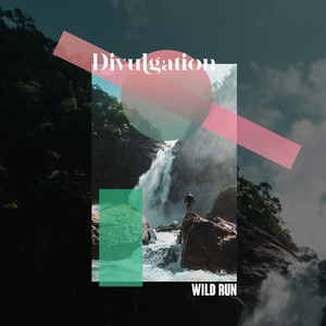 Wild Run
