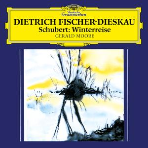 Winterreise, D. 911:No. 9, Irrlicht