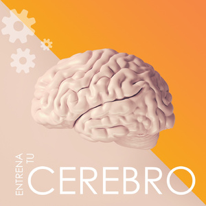 Trabajar con Tranquilidad