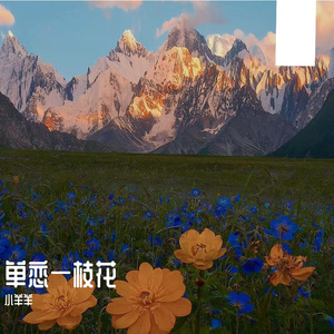 单恋一枝花