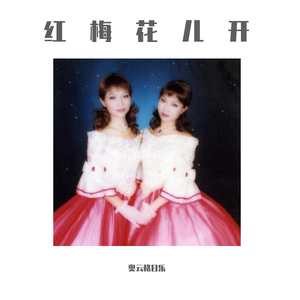 群星-红梅花儿开（奥云格日乐 remix）