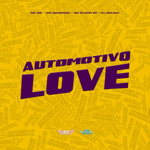Automotivo Love