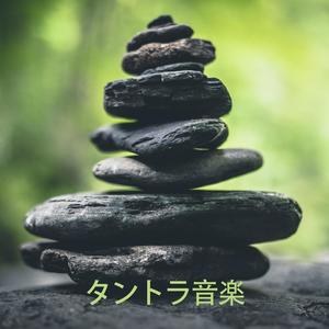 セックスエネルギー