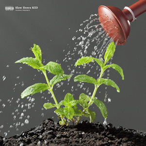 Never Ask (Subpar Funk)