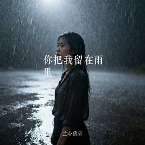 你把我留在雨里