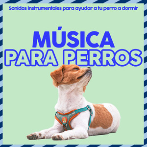 Perros Durmiendo