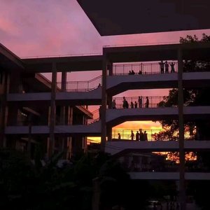 藏不住-冷少