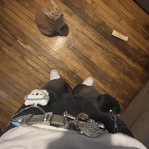 Do Whatchu Do (old sc drop)